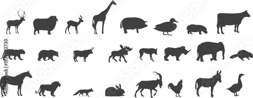 wild animals collection