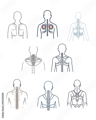 Spine Support and Back Brace Line Icon Set – Orthopedic Vertebrae Medical Outline Vector Collection. Ai generated