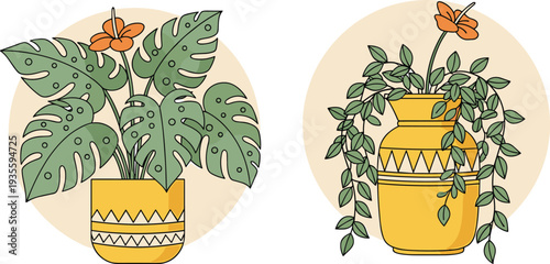 Decorative houseplant vector illustration, monstera and hanging indoor plants in stylish pots botanical home decor greenery design