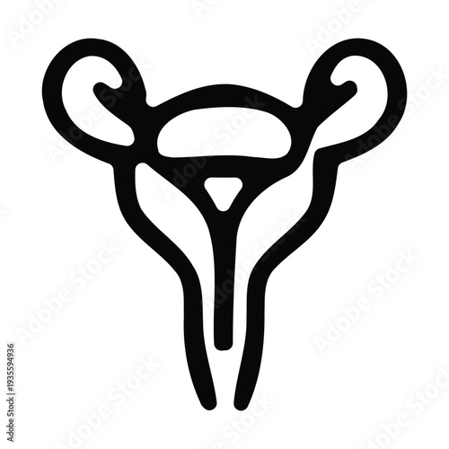 Female reproductive system anatomy illustration  human uterus and ovaries diagram