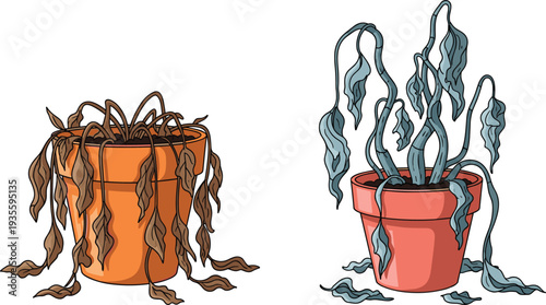 Wilted houseplant in pot illustration, dead and dying indoor plants with dry leaves, neglected plant care concept vector