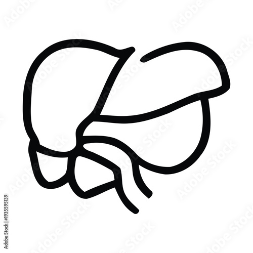 Liver and gallbladder human organ outline icon  simple medical illustration