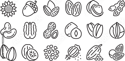 illustration of various nuts and seeds