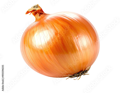 Wallpaper Mural A single, whole, ripe, golden-brown onion with dry papery skin Torontodigital.ca