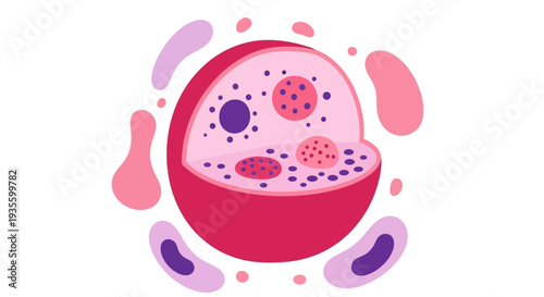 Illustration of a stylized cell with internal organelles, surrounded by abstract shapes, representing biological processes or cellular structures.