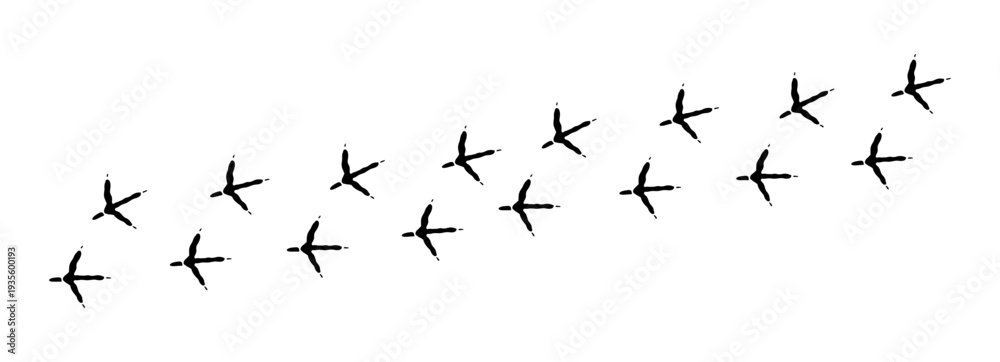 Naklejka premium Bird footprint chicken foot silhouette, feet print, paw step hand drawn doodle. Sketch simple turkey, hen trail. Crow walk steps mark.