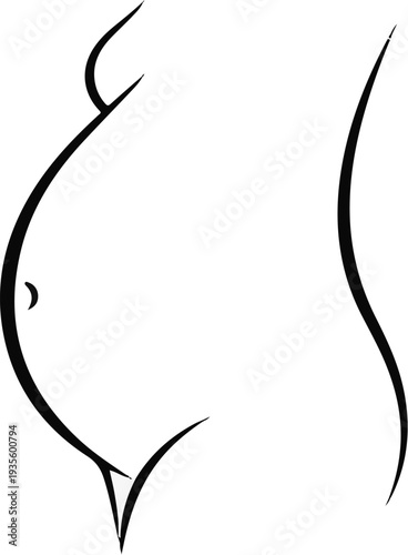 Minimalist illustration of a pregnant abdomen and torso curves