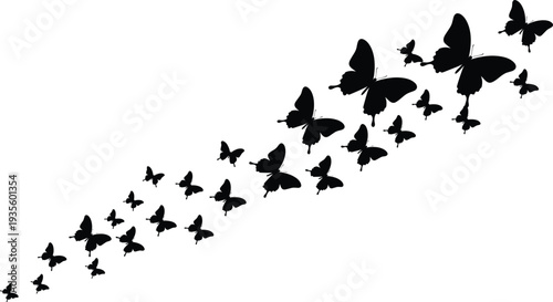 Black butterfly silhouettes swarming and flying in a graceful trail for nature beauty spring garden freedom and elegant vector illustration