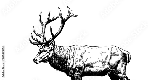 A majestic stag with large antlers standing in a serene landscape