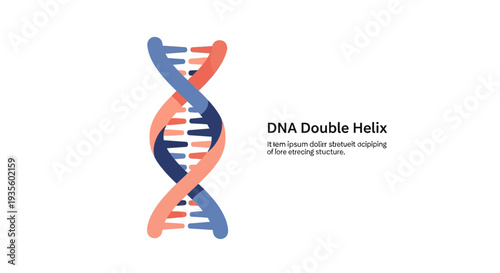 Illustration of a DNA double helix structure, a fundamental component of genetics and life, presented in a clean, modern graphic style.