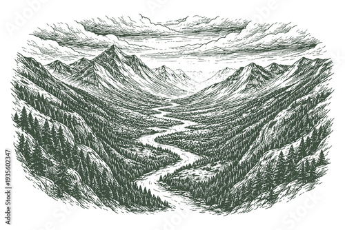 Vintage Engraving Vector Illustration of a Winding River Flowing Through a Deep Mountain Valley Landscape with Dense Pine Forest Trees