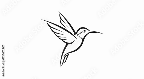 Elegant line art depicts a hummingbird mid-flight with wings spread
