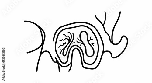 Abstract organic line art with intricate internal branching patterns and loops