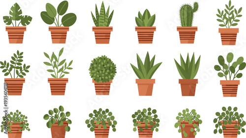 Indoor Potted Houseplants Collection with Succulents Cactus Tropical Foliage and Decorative Green Plants in Clay Pots Vector Illustration Set.