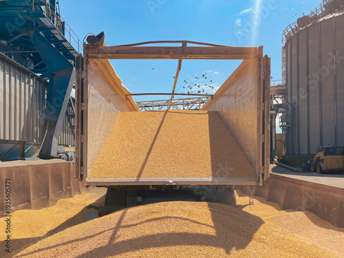 international grain trade and delivery. Dry cargo vessel in the port, loading grain corn for export in the sea port