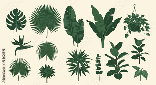 Collection of various green tropical leaves and plants silhouettes.