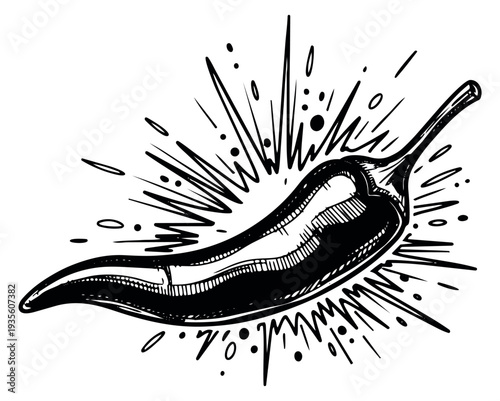 Hand drawn illustration of a chili pepper depicting a spicy burst for food and cooking