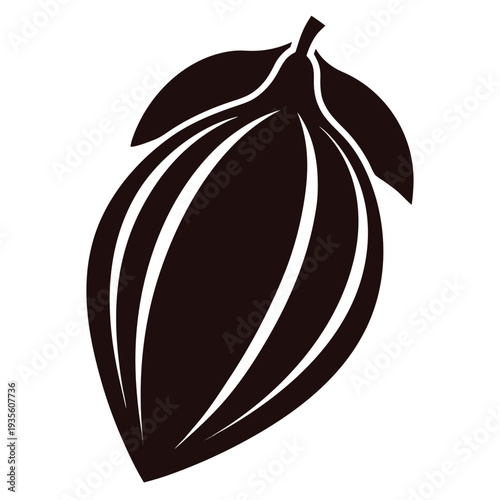 Cocoa bean pod shows the detailed lines of the bean leaves