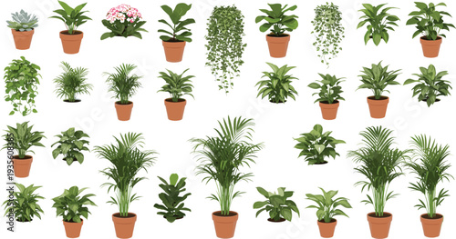 Indoor Potted Houseplants Collection with Various Tropical Green Plants Decorative Foliage and Hanging Plants Flat Vector Illustration for Home Garden Decor Design.