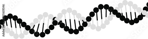 DNA double helix strand vector illustration, genetics molecular biology design, genome structure icon, biotechnology research concept, medical science education graphic