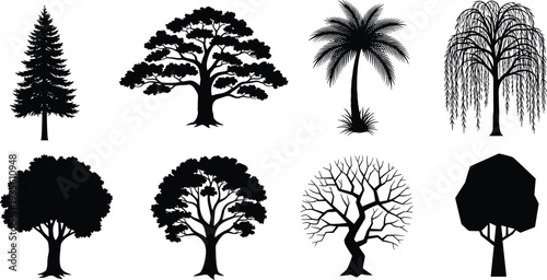 Collection of diverse black tree silhouettes featuring conifer, palm, willow, deciduous, and abstract forms, perfect for nature, landscape, botanical, and design projects