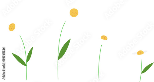 데이지 꽃 그림