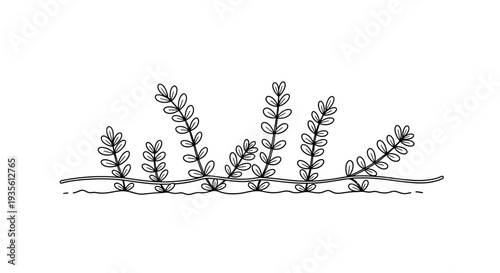 Minimalist black and white line art of small plants growing