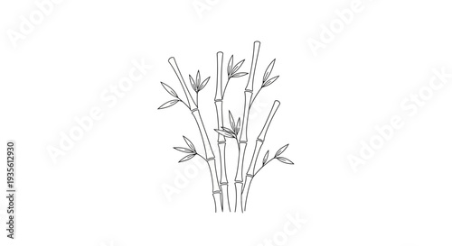 Minimalist black outline drawing of bamboo stalks and leaves