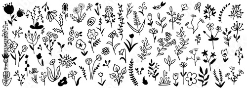 Flower brush hand drawn vector set. Hand drawn doodle flower, floral leaf elements in brush stroke ink style. Simple abstract botanical silhouette set for nature black paint art. Vector illustration