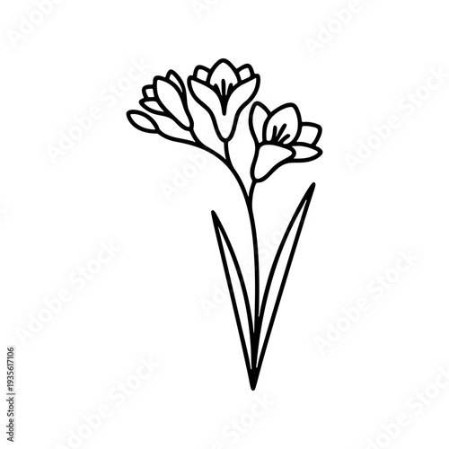 シンプルなフリージアの線画アイコン