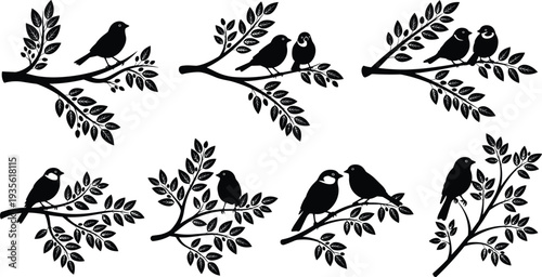 songbird silhouettes on leafy branches set, perched bird pairs wildlife vector illustration, black avian nature decorative design collection