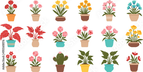 Potted Flower Plants Collection with Tulips Roses Cactus and Decorative Indoor Garden Flowers Colorful Flat Vector Illustration Set.