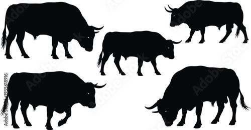 Bull silhouettes collection, grazing bull, standing bull, walking bull, animal anatomy, horns, muscular build, cattle posture, wild mammal, nature icon