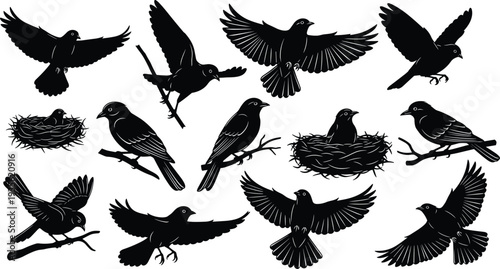 bird silhouette collection with flying birds, perched songbirds and nest, black avian wildlife vector illustration isolated design set