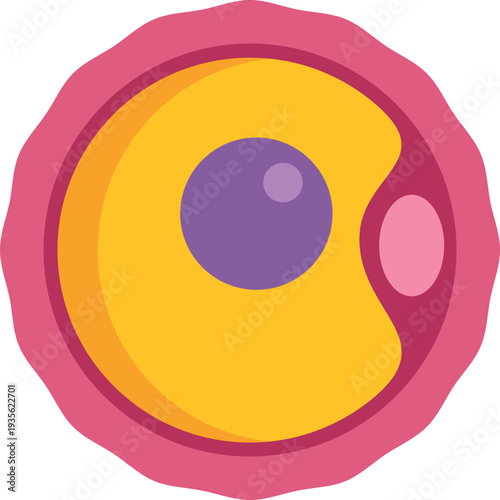 Human ovum or egg cell icon representing reproduction and biology
