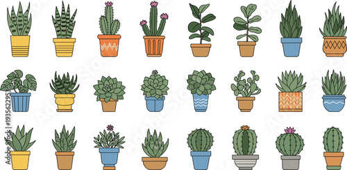 Potted Succulent and Cactus Plants Collection with Decorative Indoor Houseplants Aloe Agave and Tropical Green Plants Vector Illustration Set.
