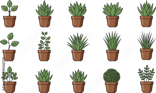 Potted Succulent and Indoor Houseplant Collection with Decorative Green Plants Aloe Agave and Foliage Garden Pots Vector Illustration Set.