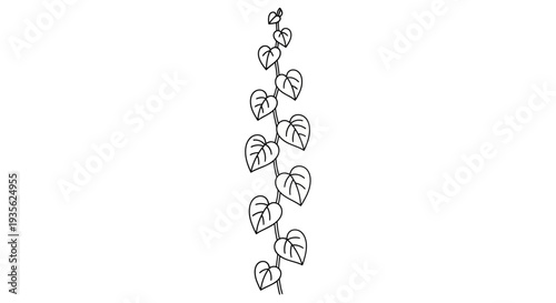 Simple black outline vine with heart-shaped leaves