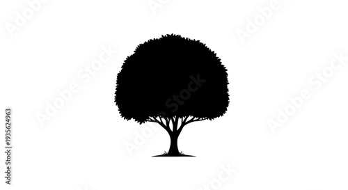 Simple black tree silhouette on white graphic