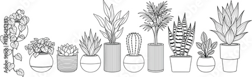 Hand drawn potted houseplants collection, indoor succulent cactus and tropical plants in pots, botanical line art set for home decor illustration