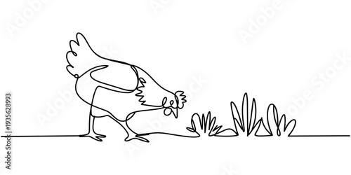 Self drawing of continuous one line drawing chicken foraging for food. National Farm Animals Day. Continuous line design graphic illustration, Full length single line, minimalist.