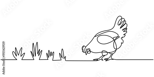 Self drawing of continuous one line drawing chicken foraging for food. National Farm Animals Day. Continuous line design graphic illustration, Full length single line, minimalist.