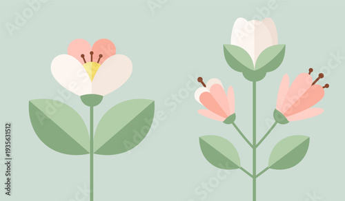 Spring Tulip Flowers Flat Design Vector Illustration on Soft Pastel Background