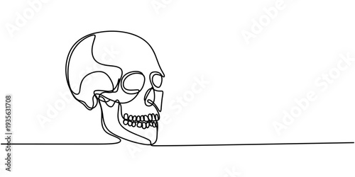 One line human organs design silhouette. Abstract human skull isolated image hand drawn outline white background. Anatomy concept. Continuous line art minimalism style vector illustration.