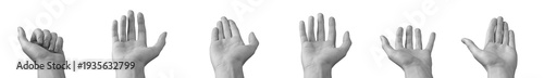 Wallpaper Mural Hand lifts open palm upward with fingers extended toward viewer against neutral background. Raised limb presents visible front surface forming upward offering pose. Communication concept Torontodigital.ca