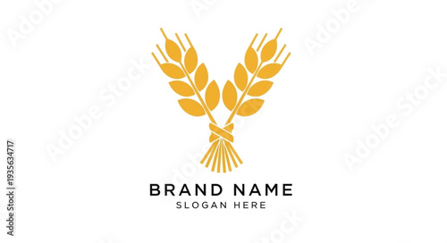 Golden Wheat Ears Logo Design Template for Agricultural Brand.