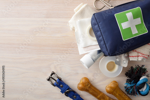 Pet Emergency Kit with Collar and Toys