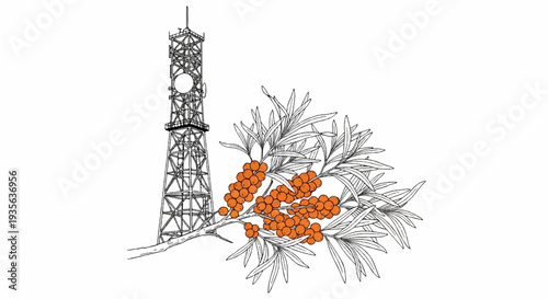 A tall communication tower stands beside a branch laden with bright orange berries and slender leaves