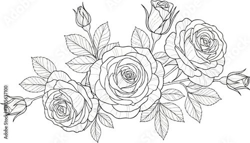 Delicate black and white line art bouquet of roses and buds