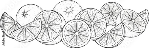 Artistic line drawing of whole and sliced citrus fruits